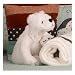 Cotton Tale Arctic Babies Hamper w Frame