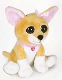 Bright Eyes Chihuahua By Petting Zoo