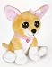   - Bright Eyes Chihuahua By Petting Zoo