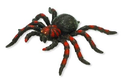 Childrens Toyshop  Toys : RepPals: Spider
