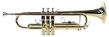 Windsor Student Bb Trumpet Includes Hard Case - Gold Lacquer