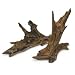 R'Zilla 09669 Malaysian Driftwood Plant, Medium