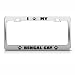 Bengal Cat Chrome Animal License Plate Frame Stainless Metal Tag Holder 317I2aOqUGL. SL75 Spoiling Your Bengal Cat – They Will Love You For It!