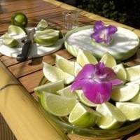 Margaritaville Salt and Lime Tray Set