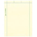 Computation Pads, 5" x 5" Quad, 8-1/2" x 11", 3 Hole Punched, 200 Sheets, Green Pages