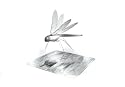 X-Bugs Dragonfly Etched Stainless Steel "Origami" Construction Kit
