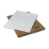 DuPont Tyvek  Jumbo Heavyweight Envelopes, 25/Box, 18 x 23, White