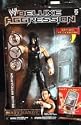 WWE Deluxe Aggression 19 Matt Hardy