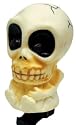 Pyramid Bicycle Squeeze Horn Skull