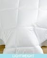 Martha Stewart Collection Bedding, Allergy Wise Comforters
