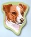 Jack Russell Terrier Sticky Notes Notebook