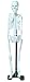 All Products : Elenco Electronics Science Tech Mini Skeleton