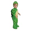 Infant Turtle
