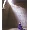 Recommend�@�V�i���s���q�j