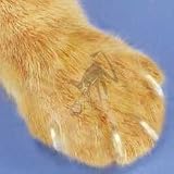 Soft Paws / Soft Claws for Cats - Kitten Natural