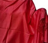 Silk Pashmina Shawls Wrap Womens Indian Dress (pswl009)