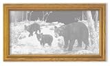 Bear Art Etching in Framed Wall Mirror, Solid Oak Frame, Hand-Rubbed Finish, 15 x 27 inches
