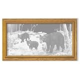 Bear Art Etching in Framed Wall Mirror, Solid Oak Frame, Hand-Rubbed Finish, 15 x 27 inches by MasterVisions Etched Glass Home Decor