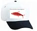 White Cap with fish, aquarium