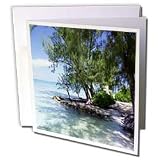 Edmond Hogge Jr Countrys - Cayman Island Resort - Greeting Cards-12 Greeting Cards with envelopes