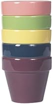 New England #12149926 4" Planter Assorted