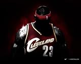 LeBron Heat Jersey