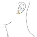Heart Petals Flower Cubic Zirconia CZ Clip On Earrings For Women Non Pierced Ears Matte 14K Gold Plated Brass