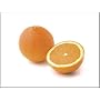 Naval Orange Tree, Dwarf, Variety: Washington, One Year Tree; 12"-16" Tall with 3/4" Diameter Trunk; Ships in 4"x4"x6" Container of Soil; Produces Full Size Fruit on a Dwarf Tree