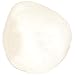 3B Scientific A35/2L Plastic Left Patella Model