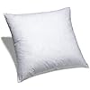 Amazon.com - 22" X 22" Pillow Insert - Throw Pillow Inserts