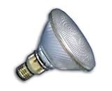 Tools & Hardware : Halogen PAR Flood Light, 60 Watt PAR 38, 120 Volt, 30° Flood