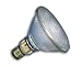 Halogen PAR Flood Light, 75 Watt PAR 38, 120 Volt, 30° Flood