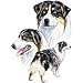 Australian Shepherd Adult T-Shirt