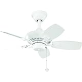 317ME%2BlVsDL. SL160  Kichler Lighting 300103WH Canfield 30 Inch Ceiling Fan with White Blade, White