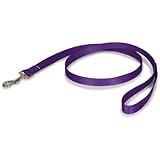 PetSafe Nylon Leash, 3/4" x 4', Deep Purple