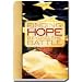 Book Finding Hope Beyond the Battle (A Bible for Military Families)