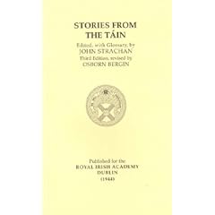 Stories from the Tain (Irish Studies)