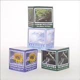 Attitude Motivational Note Cube, 2-7/8 x 2-7/8, 575 Sheets per Cube - 79024 / AVT79024