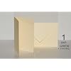 50 hochwertige Briefumschl�ge / Kuverts B6 + 50 hochwertige Doppelkarten 120x169 mm, Farbe: 01 zartcreme