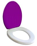 Purple Seat Socks