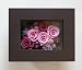 �v���U�[�u�h�t�����[ Flower Frame �t�����[�E�t���[�� �u���E��