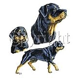 Rottweiler Adult Sweatshirt