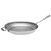 All-Clad Stainless 14-Inch Fry Pan