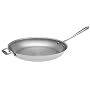 All-Clad Stainless 14-Inch Fry Pan