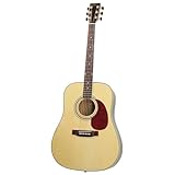 Signature Music SMI Herringbone Series Acoustic Guitar DRW-9863N