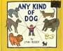 Any Kind of Dog