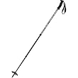 MSR Denali III Trekking Poles