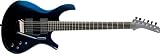 Parker Fly Signature Series - Adam Dutkiewicz - Electric Guitar (Dusty Black)