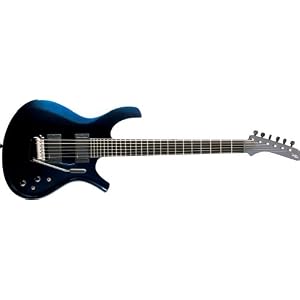 Parker Fly Signature Series - Adam Dutkiewicz - Electric Guitar (Dusty Black) by 