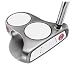 Sporting Goods : Odyssey White Hot XG 2-Ball Standard Putter